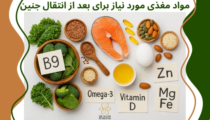 مواد مغذی بعد از انتقال جنین