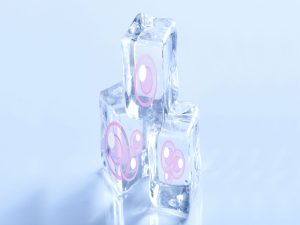 تخمک-فریز-شده