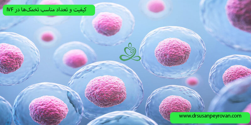 تعداد-و-کیفیت-تخمک-ها