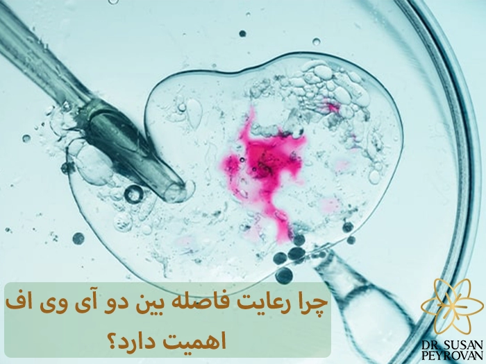 زمان تکرار آی وی اف