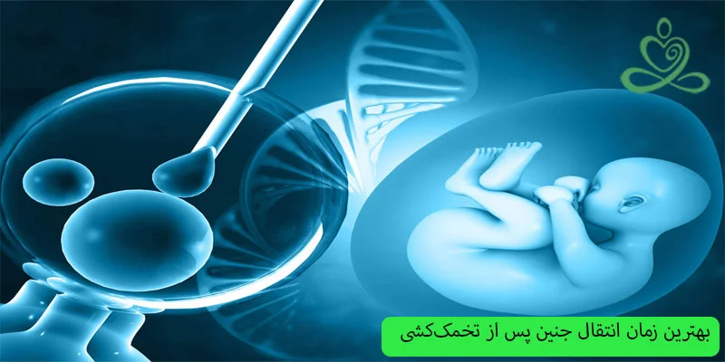 بهترین-زمان-انتقال-جنین-پس-از-تخمک_کشی