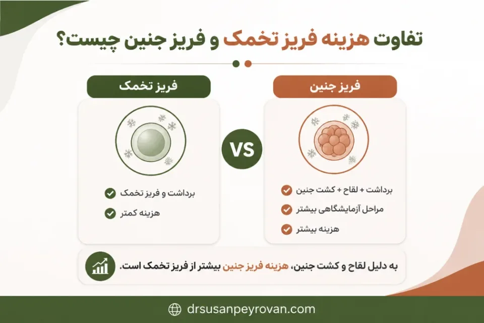 نمای توضیحی درباره تفاوت هزینه فریز تخمک و فریز جنین چیست