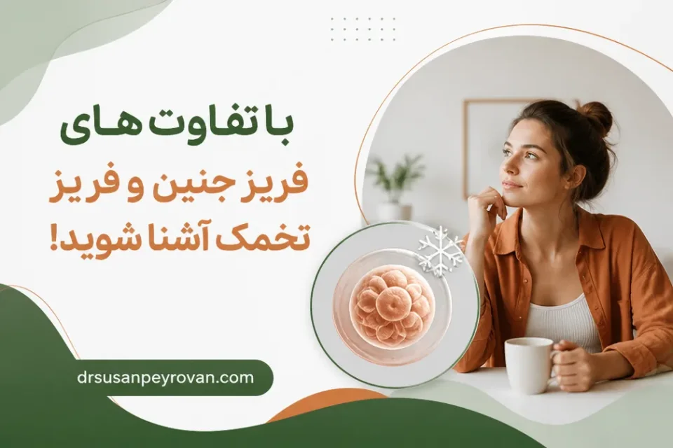 نمای توضیحی درباره فریز جنین برای چه افرادی مناسبتر است