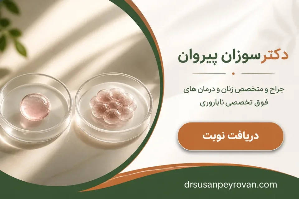نمای توضیحی درباره شانس بارداری با تخمک فریز شده بیشتر است